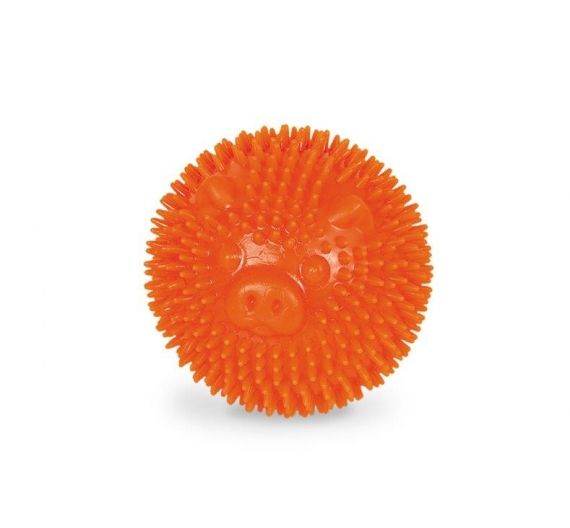 Nobby Tpr Rubber Spiky Ball Pig Orange Nobby Tpr Rubber Spiky Ball Pig Orange
