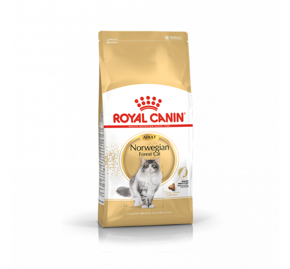 Royal Canin Norwegian Adult 2kg Royal Canin Norwegian Adult 2kg