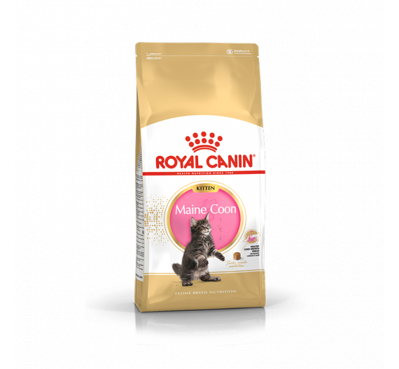 Royal Canin Kitten Mainecoon 2kg