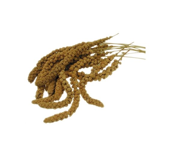 Vadigran Κλωνάρι Millet Κίτρινο 750gr Vadigran Κλωνάρι Millet Κίτρινο 750gr