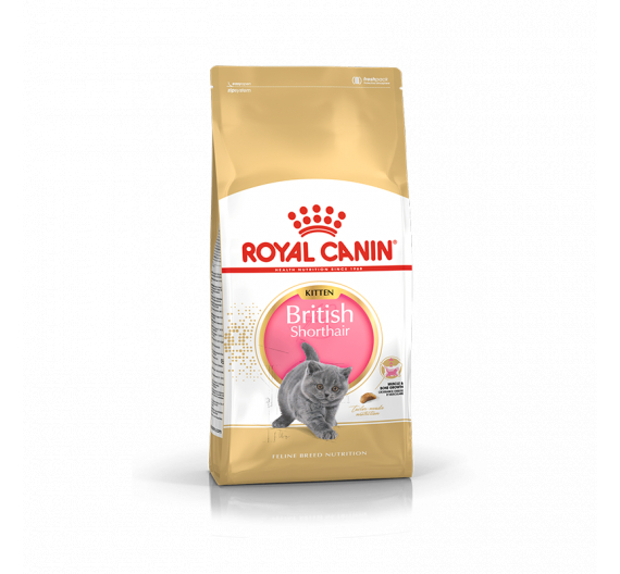 Royal Canin Kitten Brit Shorthair 2kg Royal Canin Kitten Brit Shorthair 2kg