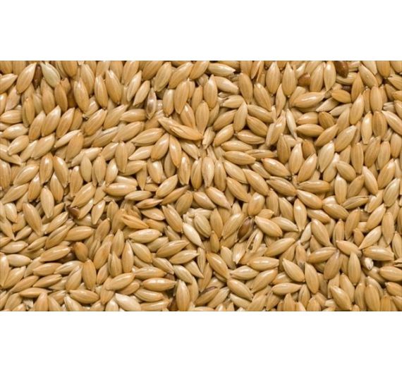 Vadigran Κεχρί Καναδά 4kg Vadigran Κεχρί Καναδά 4kg