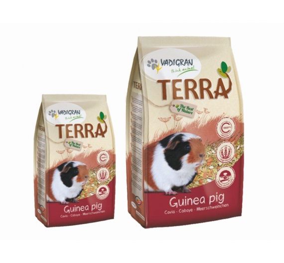 Vadi Terra Guinea Pig Ινδικό Χοιρίδιο 2,25Kg Vadi Terra Guinea Pig Ινδικό Χοιρίδιο 2,25Kg
