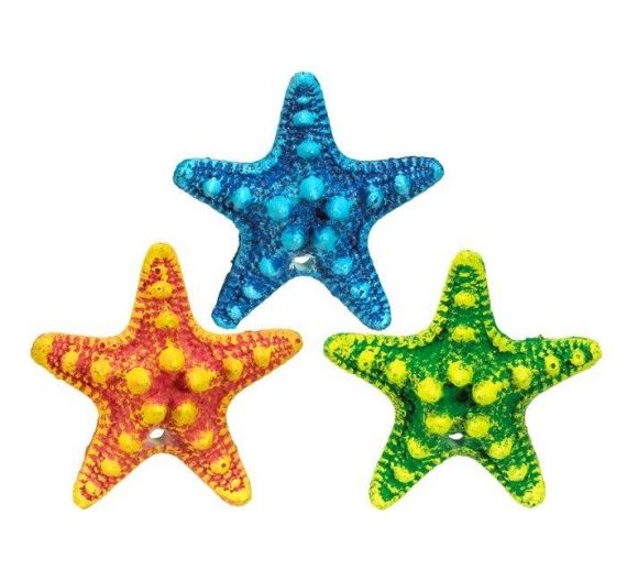 Nobby Aqua Starfish Assortment 5 Nobby Aqua Starfish Assortment 5