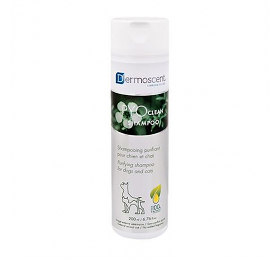 Dermoscent PYOclean Shampoo 200ml