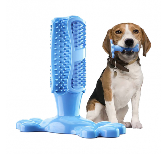 Pet Interest Paw Toothbrush Παιχνίδι για τα Δόντια