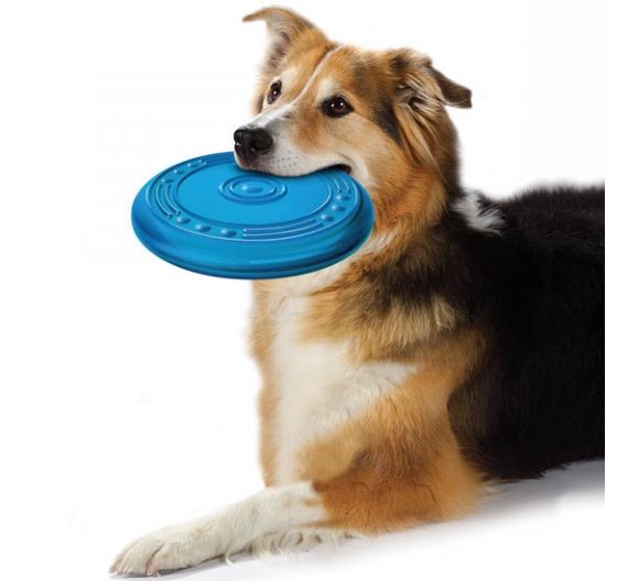 Starmark EVERLASTING Easy glider max FRISBEE Starmark EVERLASTING Easy glider max FRISBEE