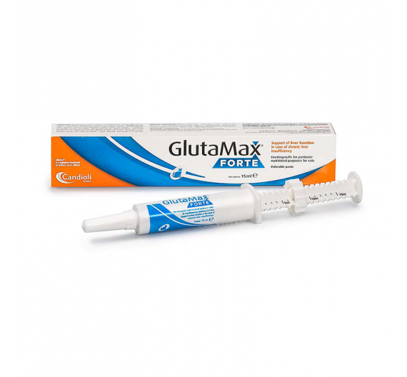 Candioli GlutaMax Forte Paste 15 ml για το Συκώτι