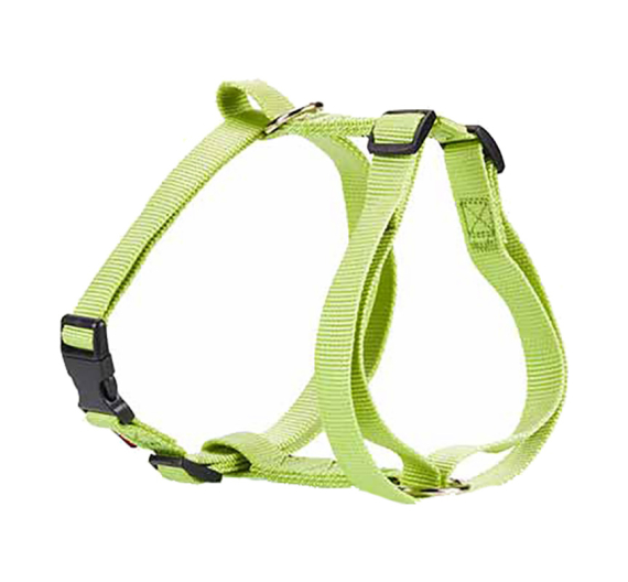 Pet Interest Σαμαράκι B Plain Line