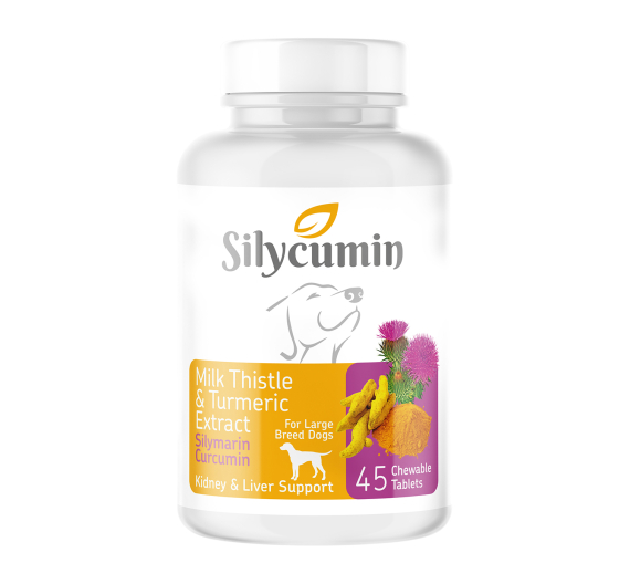 Bio Pet Active Silycumin Milk Thistle & Turmeric Large Breed Dogs 45tabs για Νεφρά-Συκώτι-Ανοσοποιητικό
