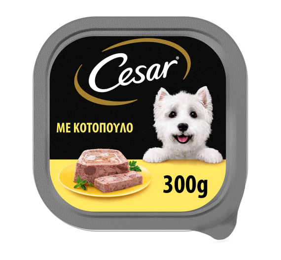 Cesar Κοτόπουλο 300gr