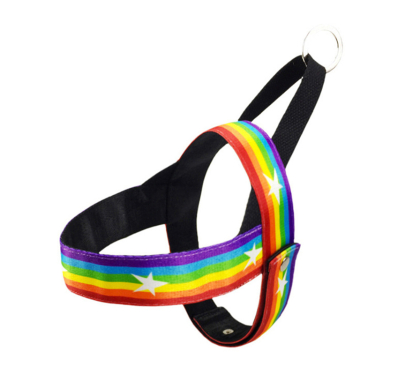 Troudog Fly Σαμαράκι Rainbow