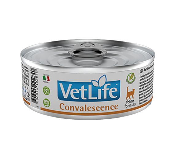 Farmina Vet Life Cat Convalescence 85gr