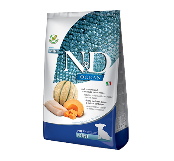 N&D Ocean Grain Free Codfish & Pumpkin Puppy Mini 800gr N&D Ocean Grain Free Codfish & Pumpkin Puppy Mini 800gr