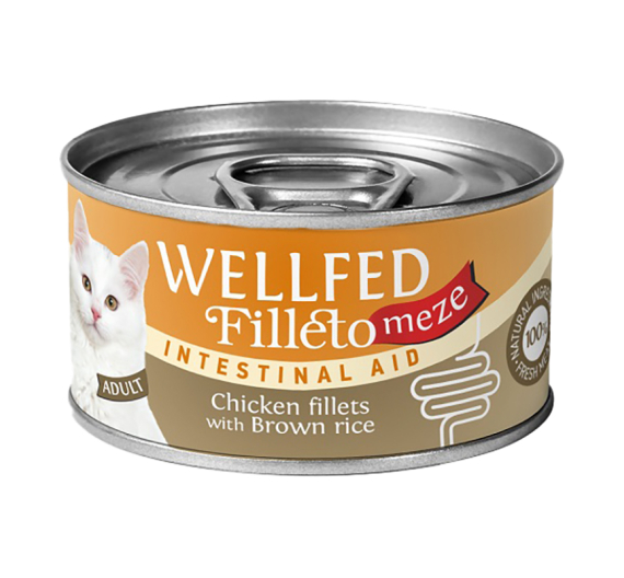 Wellfed Filleto Meze Adult Chicken & Brown Rice Intestinal Aid 70gr