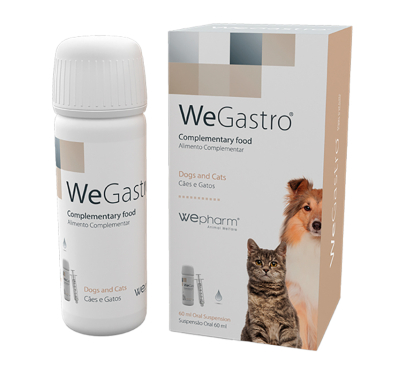 WeGastro Dogs & Cats 60ml Συμπλήρωμα για το Γαστρεντερικό