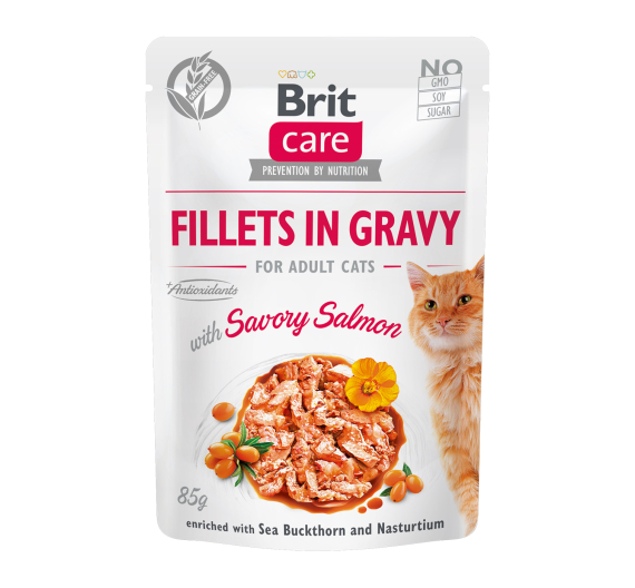 Brit Care Cat Fillets in Gravy Salmon 85gr