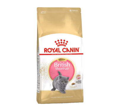 Royal Canin Kitten Brit Shorthair 2kg