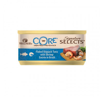 /CORE WC Flaked T&Shri/broth 79