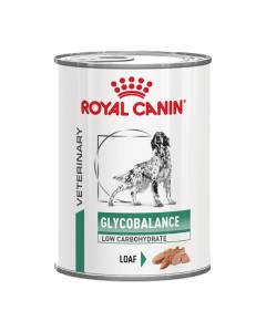 Royal Canin Glycobalance Dog 410gr