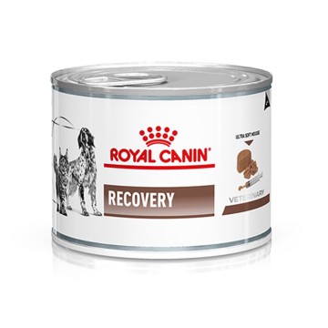 Royal Canin Cat & Dog Recovery 195gr