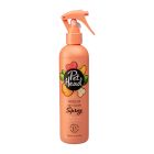 PetHead Quick Fix Dry Clean Spray 300ml Σπρέι Καθαρισμού Χωρίς Ξέβγαλμα
