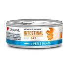 Disugual Metabolic Balance Cat Intestinal Ψάρι 85gr