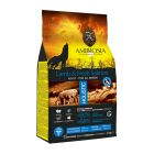 Ambrosia Grain Free Adult Lamb & Salmon 2kg