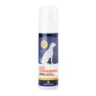 AntiPhlebotome Αντιπαρασιτικό Σπρέι Σκύλου Citro 125ml