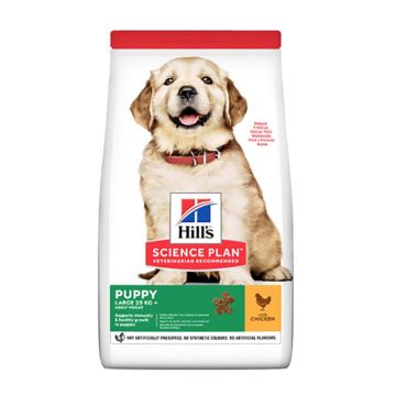 Hill's Science Plan Puppy Large Breed με Κοτόπουλο 14.5kg -25%