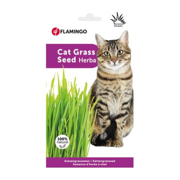 Flamingo Γρασίδι Γάτας 100gr