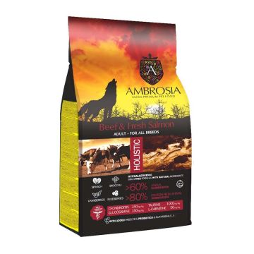 Ambrosia Grain Free Adult Beef & Fresh Salmon 12kg