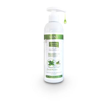 Perfection Naturelle Luxury Mint 400ml