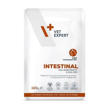 Vet Expert Intestinal Cat Φακελάκι 100gr