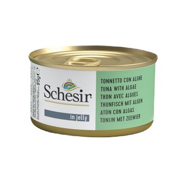 Schesir Με Τόνο & Φύκια σε Ζελέ 85G 
