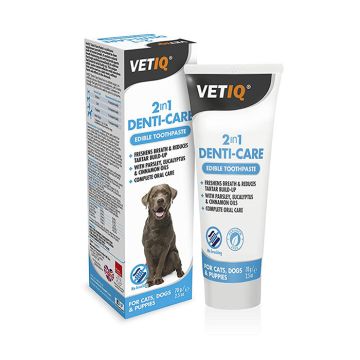 Denti Care 2in1 Paste 70gr