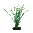 Hobby Πλαστικό Φυτό Sagittaria 20cm
