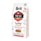 Brit Fresh Beef Dog Junior Large Growth & Joints 2.5kg