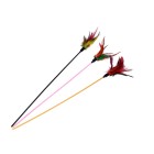 Natural World Teaser με Φτερά & Κουδουνάκι 61cm