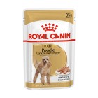 Royal Canin Poodle Adult 85gr