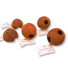 JBL Cocos Cava 1/2 L