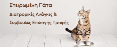 Η Καλύτερη Τροφή για Στειρωμένες Γάτες: Διατροφικές Ανάγκες και Συμβουλές Επιλογής