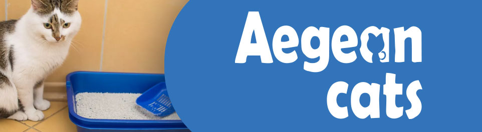 Aegean Cats