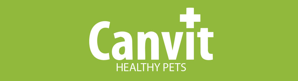 Canvit
