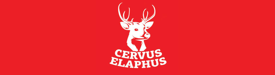 Cervus Elaphus Cervus Elaphus