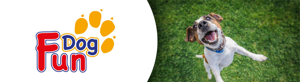 Dog Fun