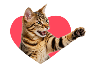 Category Menu - Cat Item
