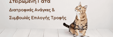 Η Καλύτερη Τροφή για Στειρωμένες Γάτες: Διατροφικές Ανάγκες και Συμβουλές Επιλογής 