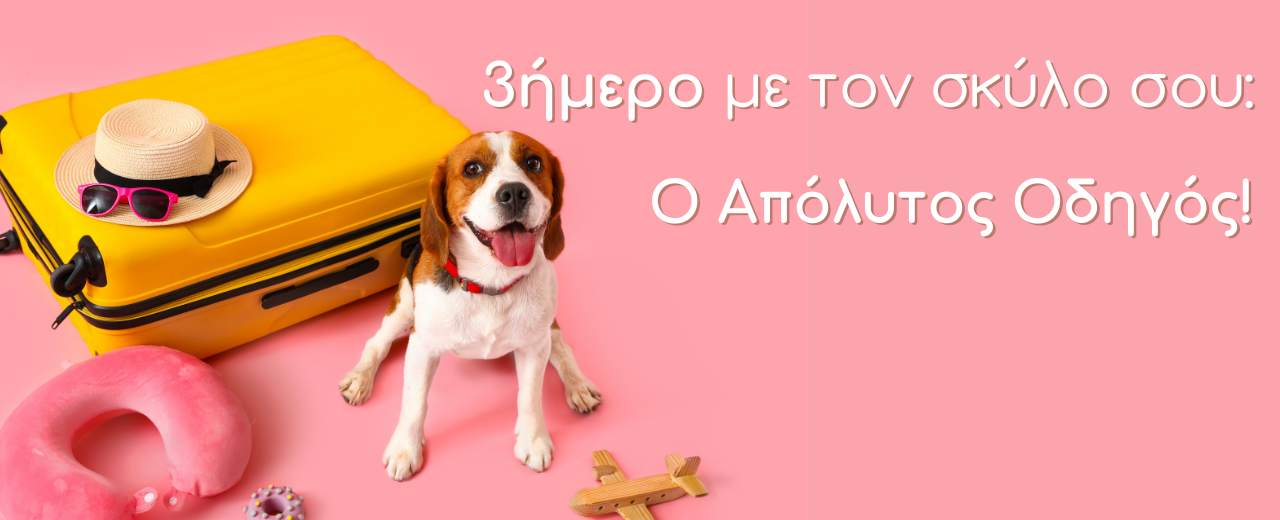 Τριήμερο με τον Σκύλο σου: Ο Απόλυτος Οδηγός για να προετοιμαστείς με τα απαραίτητα!