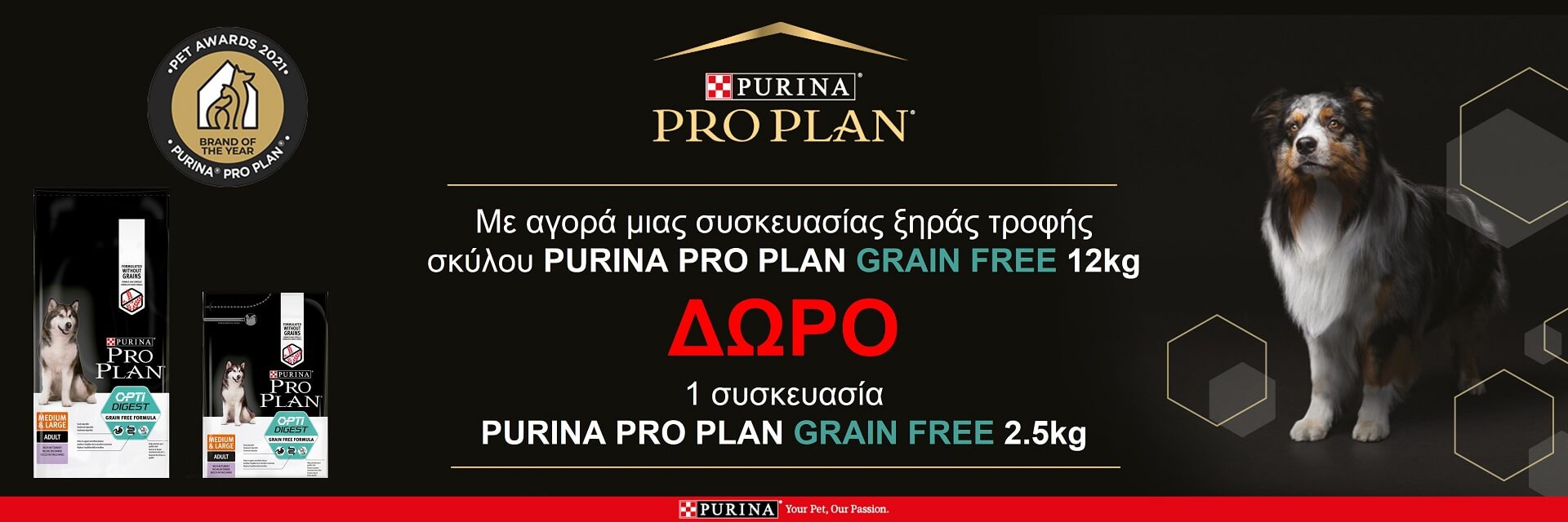 pro_plan_offer